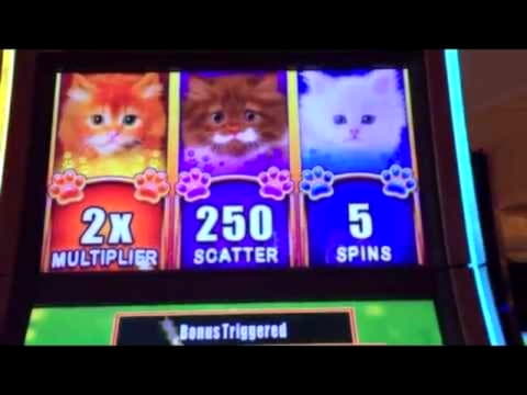 380% Signup Casino Bonus at Inter Casino