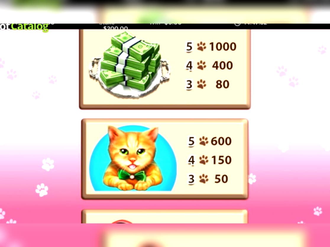 $155 Tournament at Spin Palace Casino