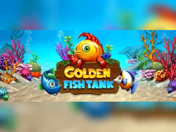 600% Signup casino bonus at Nordi Casino