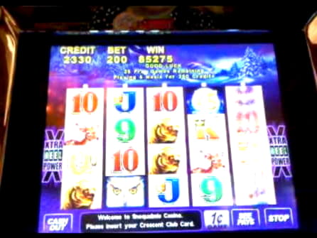 £515 Daily freeroll slot tournament at Gamebookers Casino