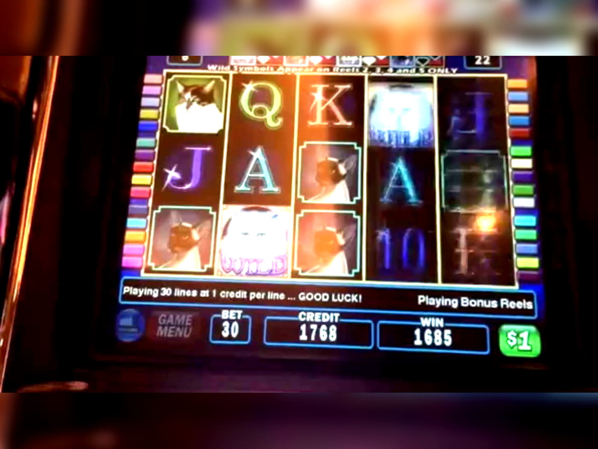 ﻿$545 Tournament at Casino com