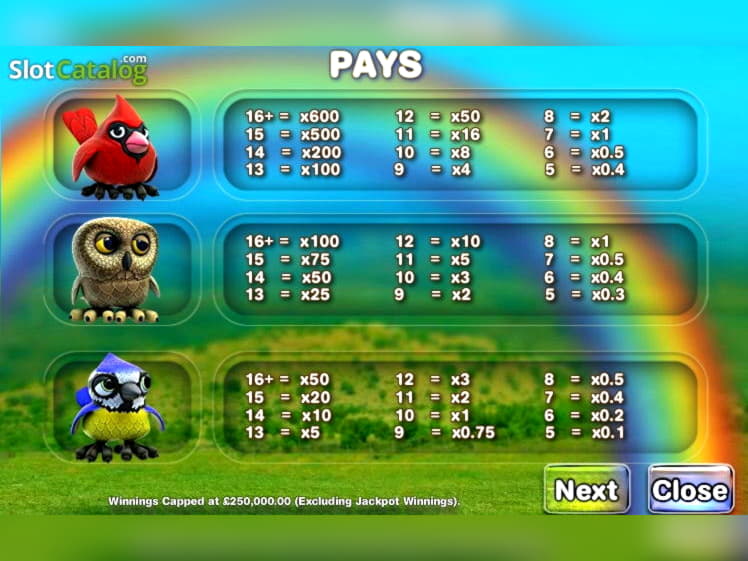 230% No Rules Bonus! at Zodiac Casino