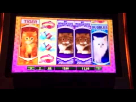 150 free casino spins at Casino Action