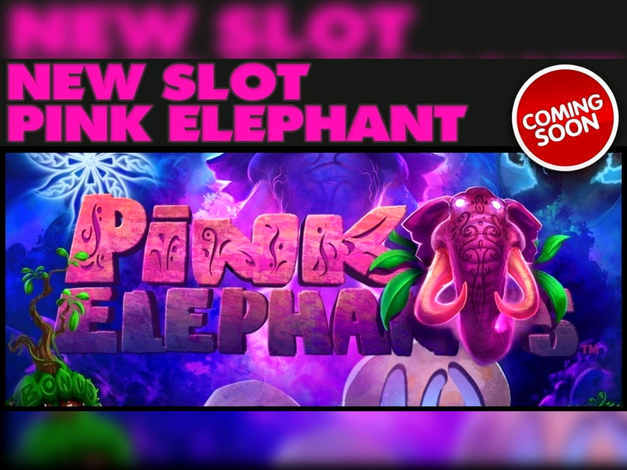 215 Free Spins no deposit casino at Zodiac Casino