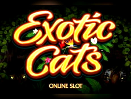 160 Free Spins Casino at Spintropolis Casino