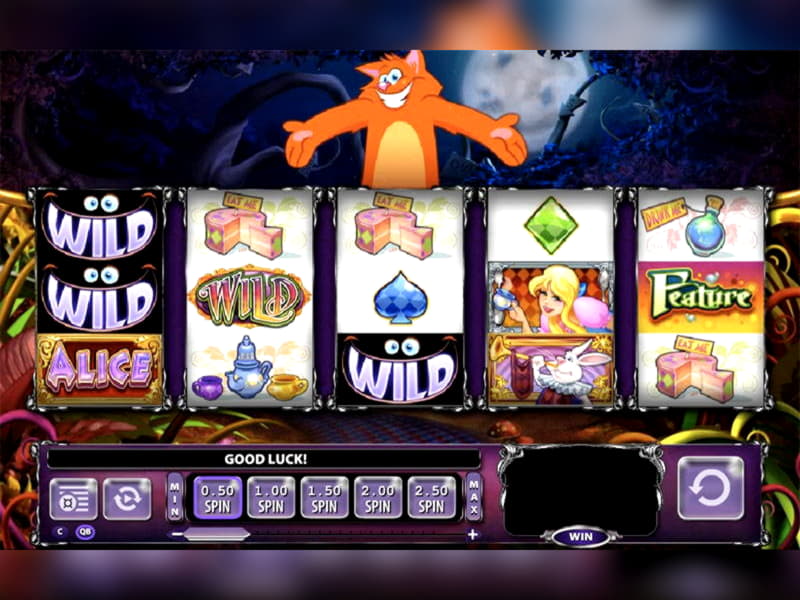 295 free spins at La Fiesta Casino
