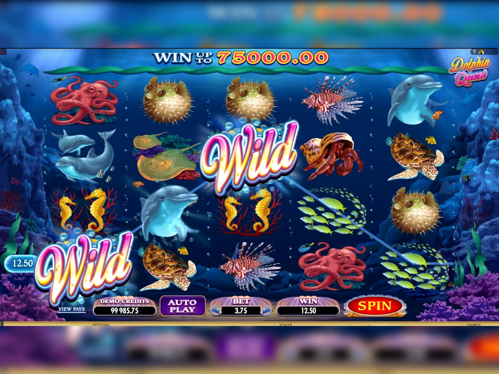 $310 Casino tournaments freeroll at Casino-X