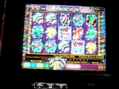 845% Best signup bonus casino at Yukon Gold Casino