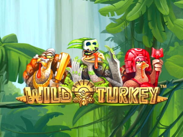 340% Best signup bonus casino at Luxury Casino