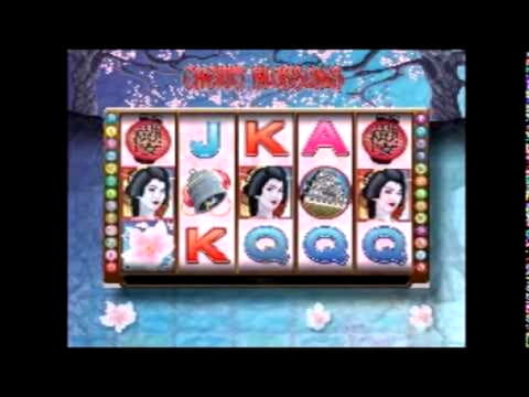25 free spins no deposit at bWin Casino
