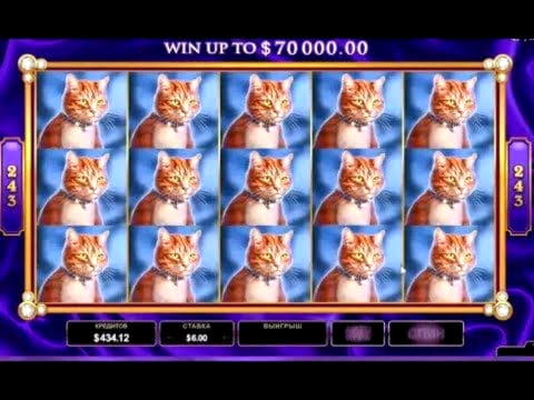 88 free spins at Platinum Play Casino