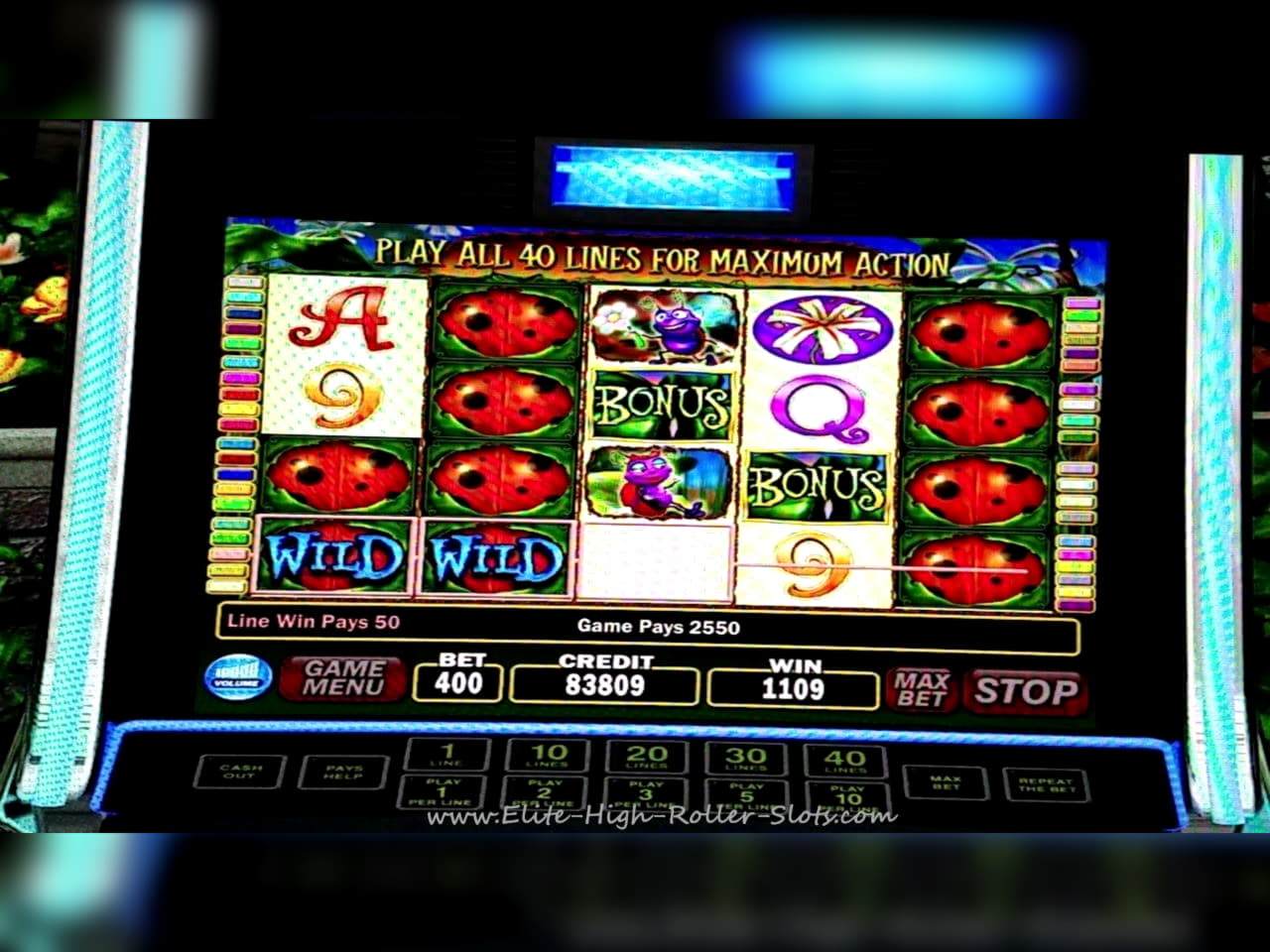 30% First deposit bonus at Casino com