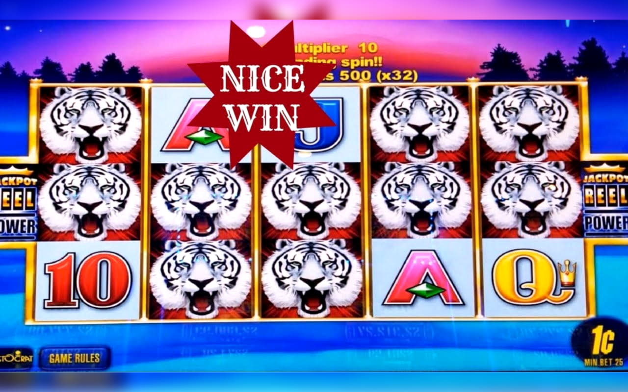 EURO 865 Daily freeroll slot tournament at Joy Casino