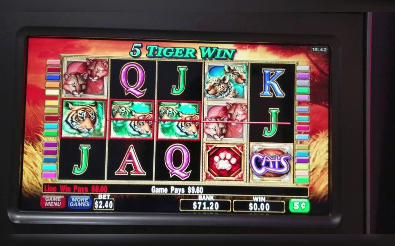 €880 Daily freeroll slot tournament at Zodiac Casino