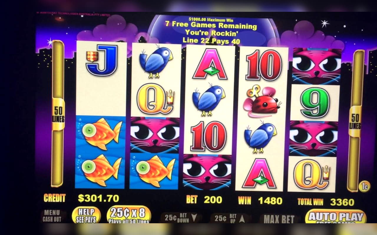 880% Deposit match bonus at bWin Casino