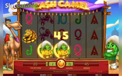 $380 Casino Chip at Club Gold Casino