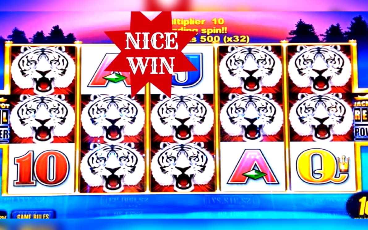 175 Loyal Free Spins! at Cheeky Riches Casino