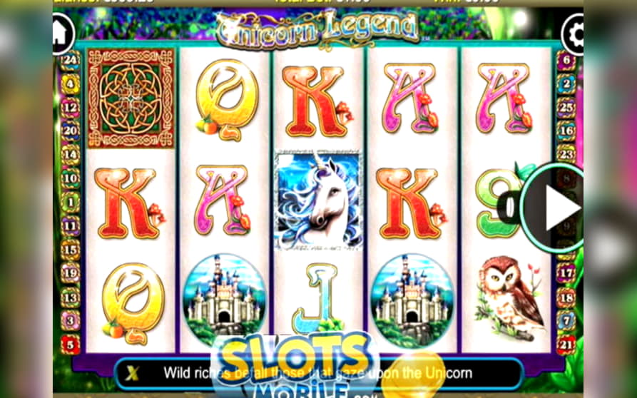 €595 Daily freeroll slot tournament at Casino Action