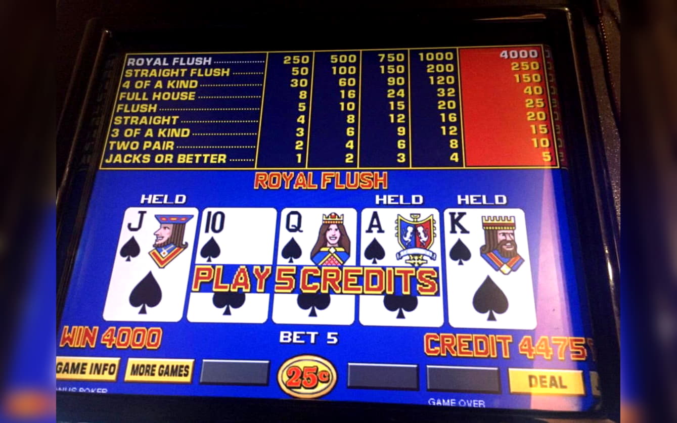 EURO 615 free chip at Spin Palace Casino