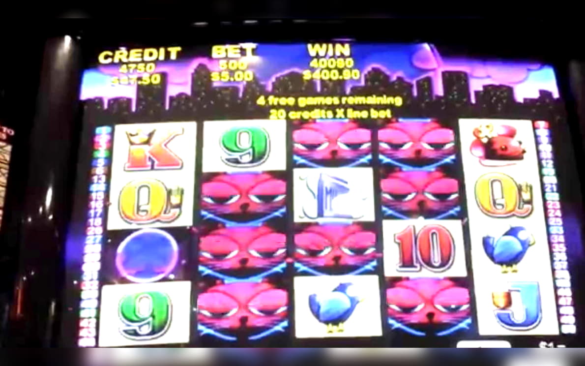 ﻿$915 No deposit bonus at Royal Dubai Casino