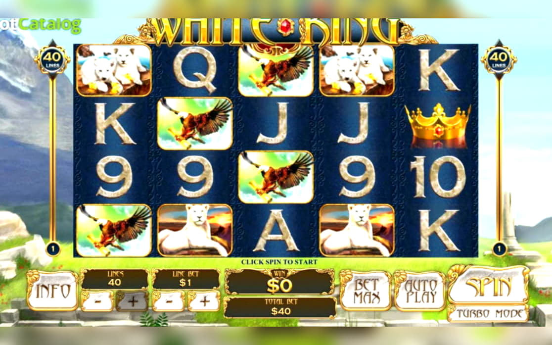 €99 Daily freeroll slot tournament at Seven Cherries Casino