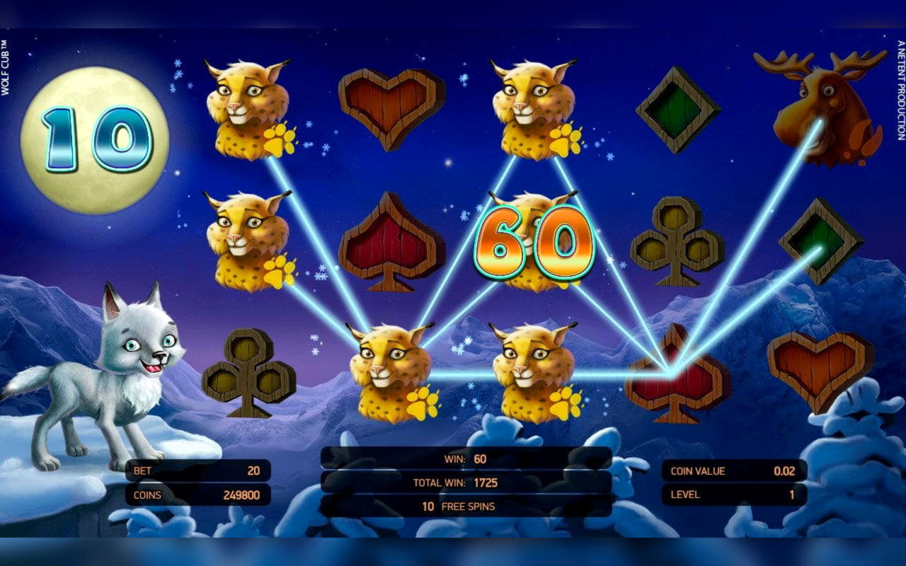 €370 Daily freeroll slot tournament at La Fiesta Casino