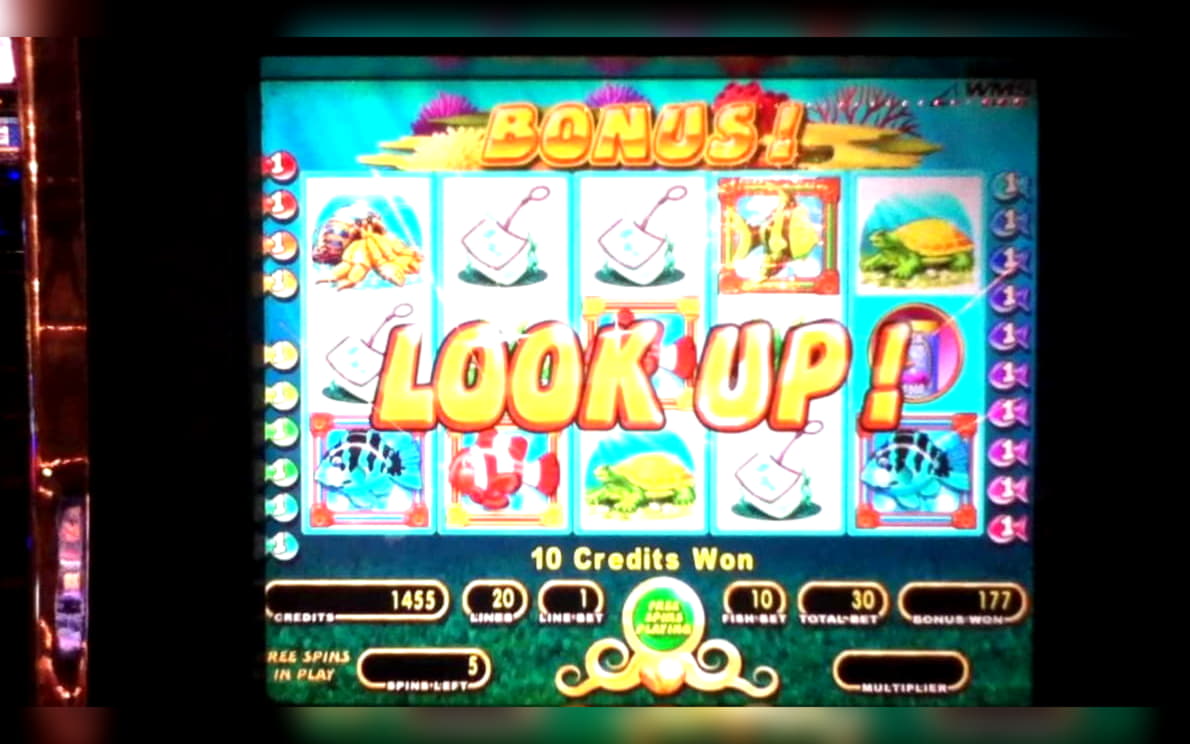 €595 No deposit bonus casino at Nordi Casino