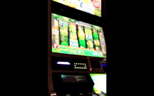 55 Free Spins no deposit casino at Joy Casino