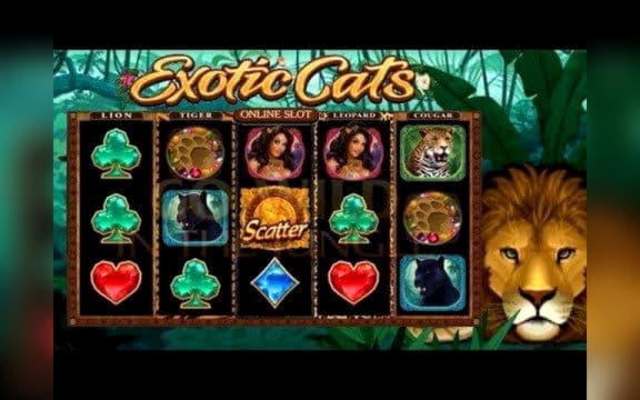 740% First Deposit Bonus at Spin Palace Casino