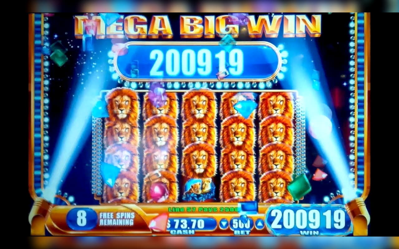 245 free casino spins at Yukon Gold Casino