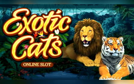 £3550 no deposit casino bonus at Grand Hotel Casino