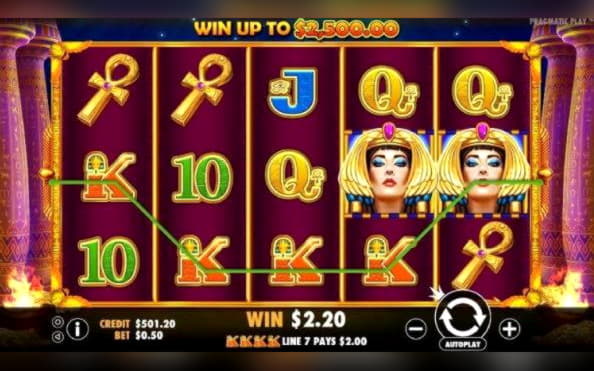 55 FREE SPINS at Cheeky Riches Casino