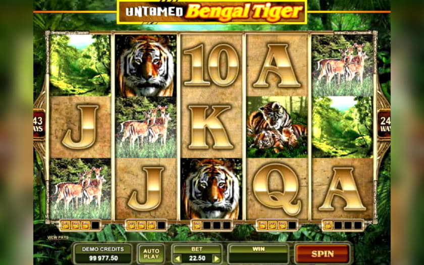 465% Match Bonus Casino at Nordi Casino