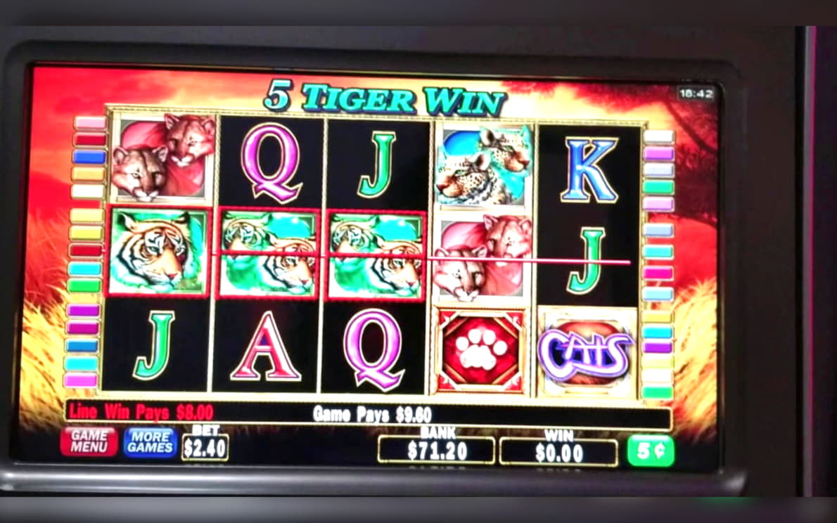 €440 Daily freeroll slot tournament at Cheeky Riches Casino