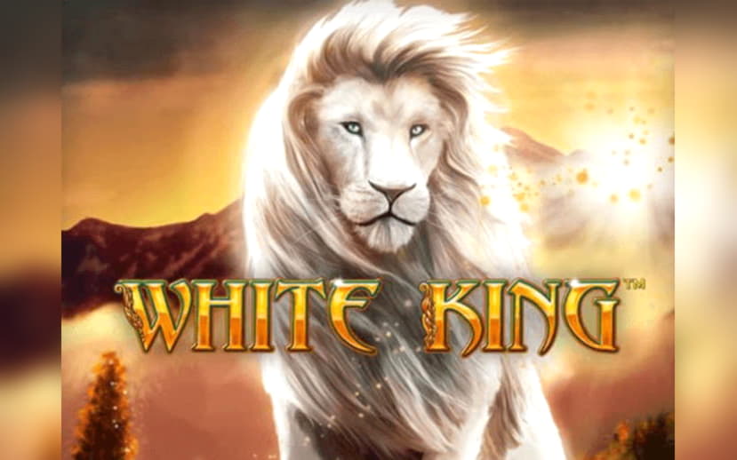 €690 Casino Tournament at Casino com