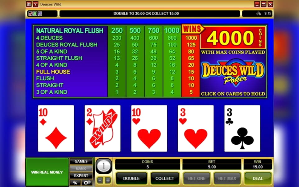 €775 Daily freeroll slot tournament at Cheeky Riches Casino