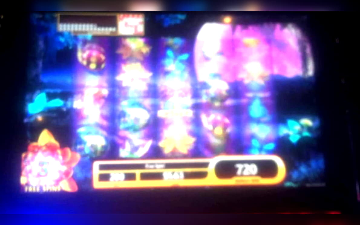 EURO 3345 No deposit bonus code at Spin Palace Casino