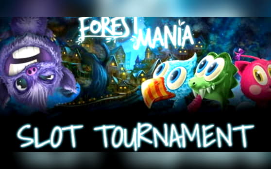 805% Match at a casino at Casino Action