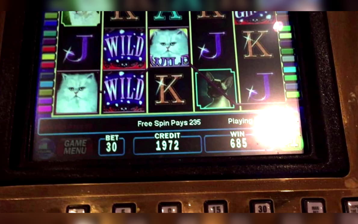 EURO 1590 NO DEPOSIT CASINO BONUS at Royal Dubai Casino