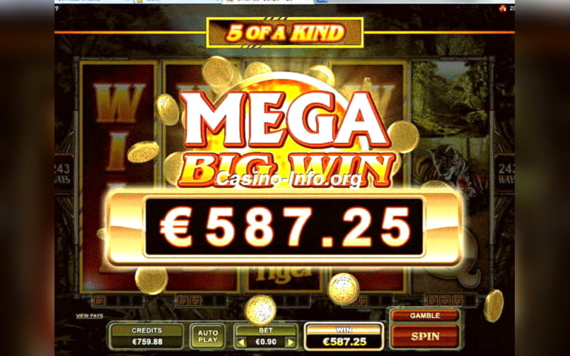 €920 Online Casino Tournament at Casino-X