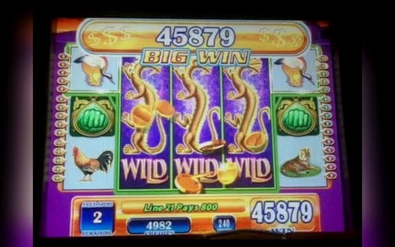 €280 Mobile freeroll slot tournament at Zodiac Casino