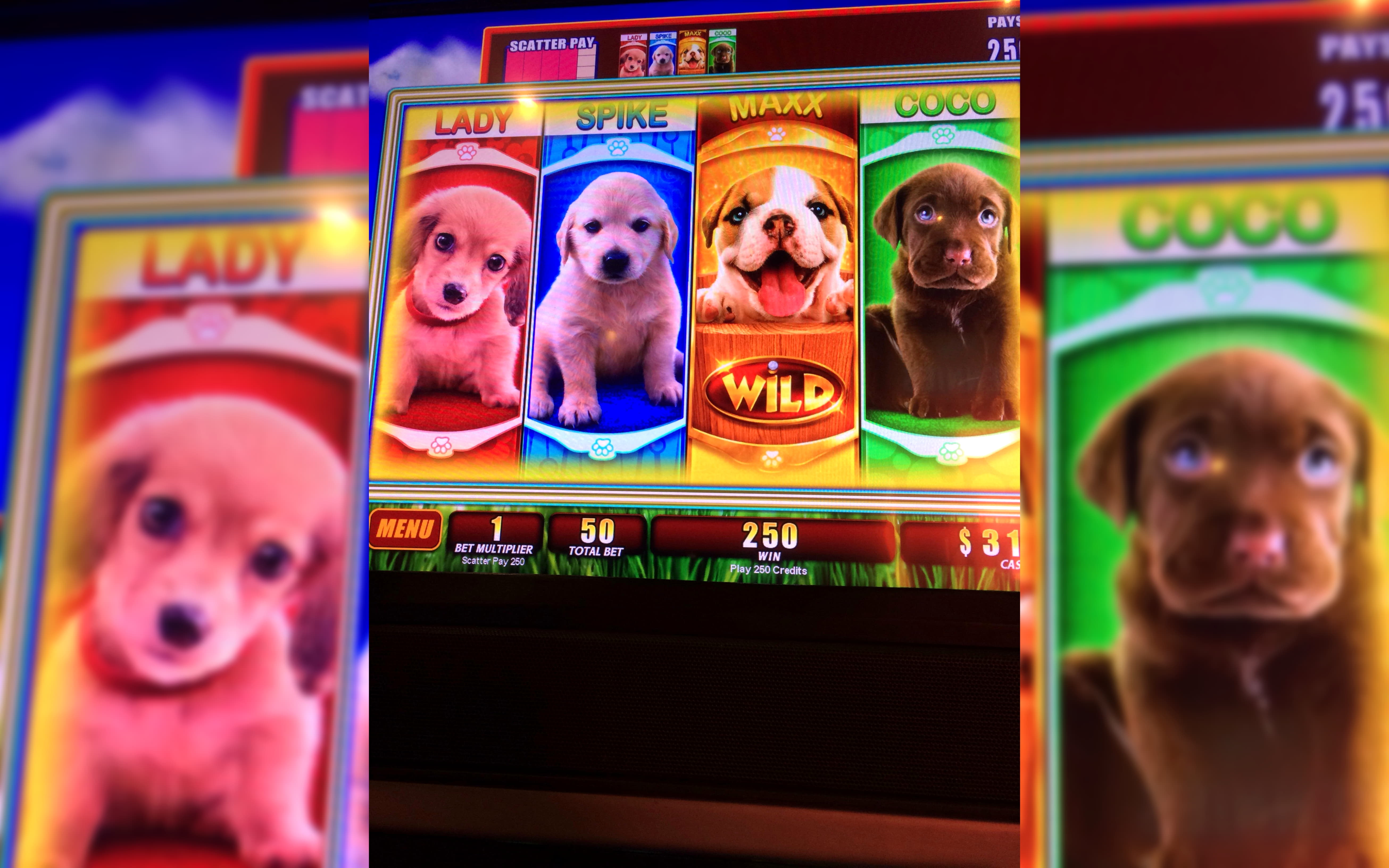 £4390 No deposit bonus code at River Belle Casino
