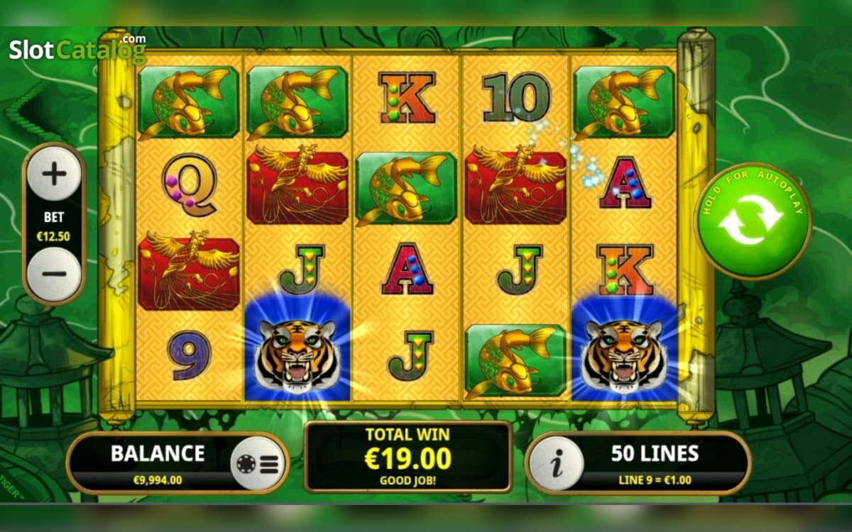 ﻿$215 Daily freeroll slot tournament at Gamebookers Casino