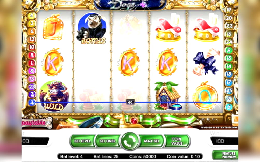 EUR 165 Daily freeroll slot tournament at River Belle Casino