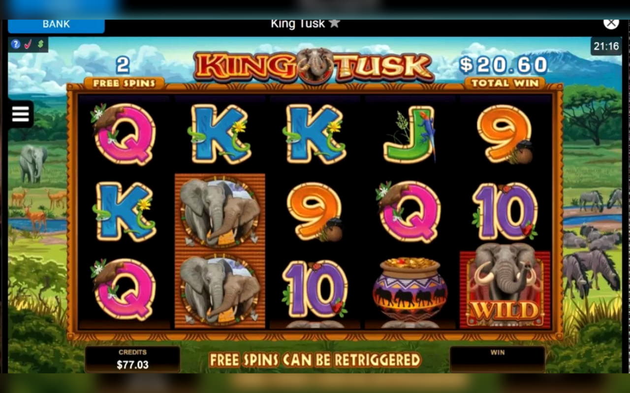 Eur 245 Casino tournaments freeroll at Joy Casino