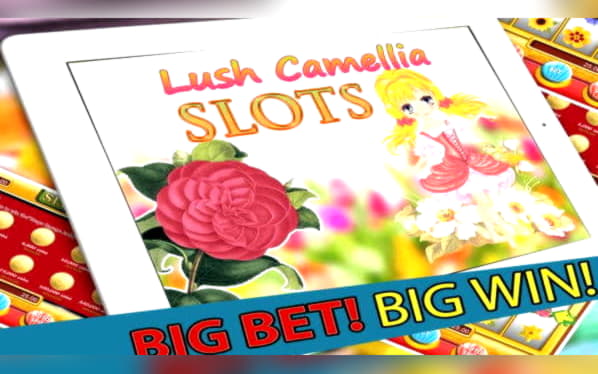 €925 Casino tournaments freeroll at LSbet Casino