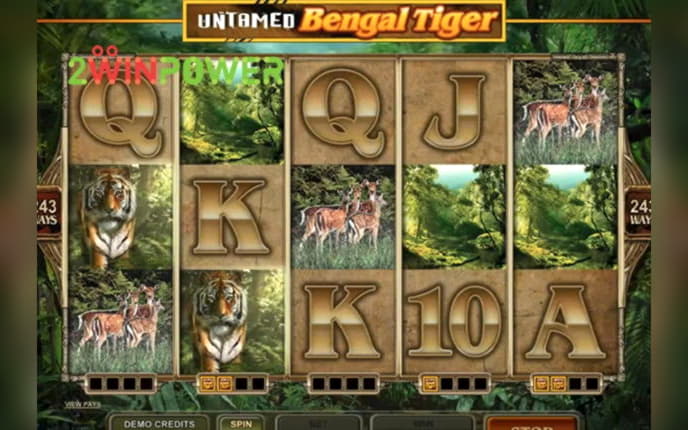 £865 no deposit bonus code at Omni Casino