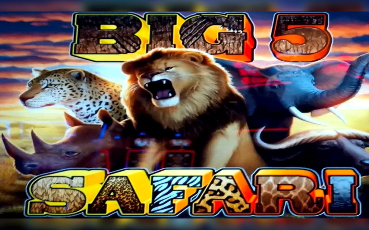 €370 Daily freeroll slot tournament at Casino-X