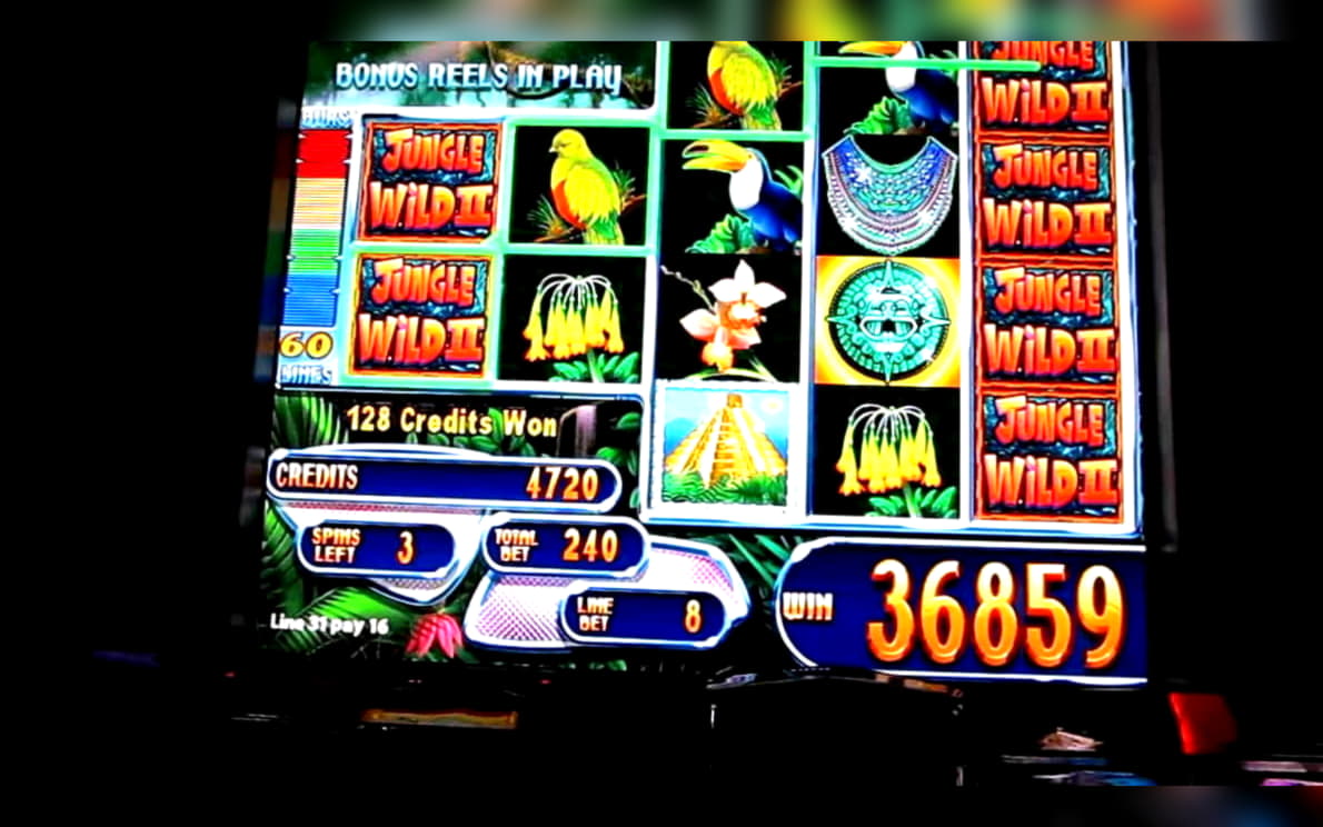 295 Free spins at bWin Casino