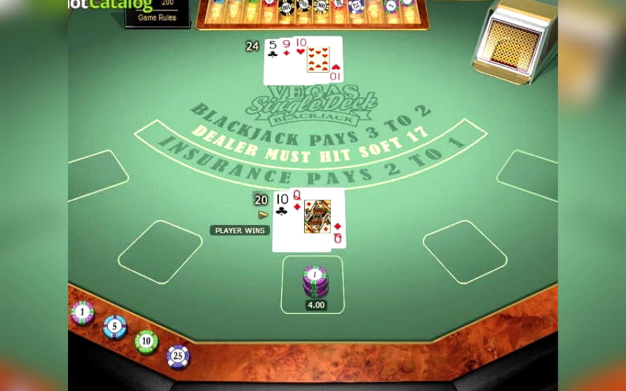245 Free spins casino at Spin Palace Casino